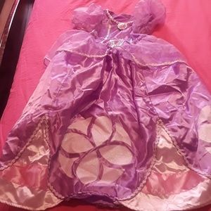 Sofia the first Halloween costume toddler 3-4 bund